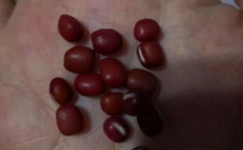 �^��t������