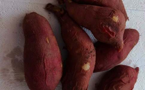 我和弟弟一起挖紅薯作文500字