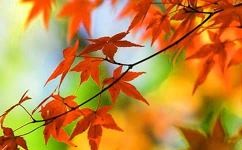 ���õ���ɽ�t�~������300����ƪ