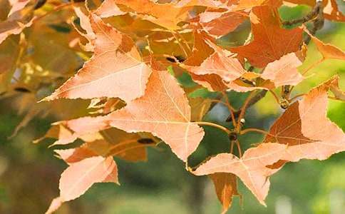 �����ļt�~�����ľ��x3ƪ