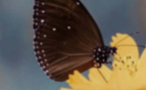 ��������С�۷�����