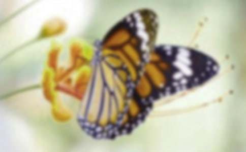 �۷�ͺ���ͯԒ���ģ����x26ƪ��