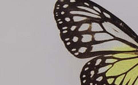 �����c�۷������9ƪ