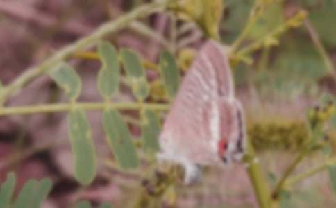 ϲ�����c��̫��֮�����Y(ji��)���꼉(j��)����