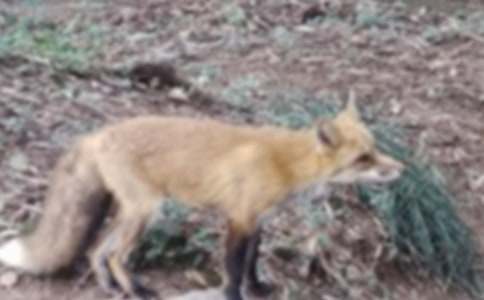 С���úͺ�؂������С�W(xu��)������