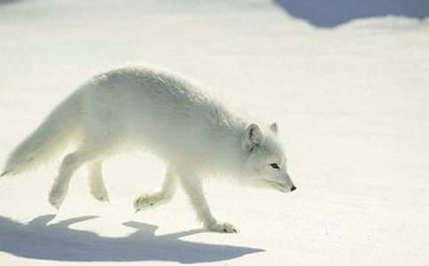 ��؂�c��ͯԒ����