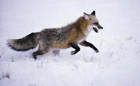 ��؂�͞��f����500��