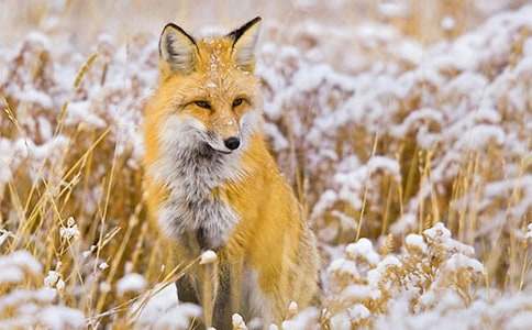 ��؂�Ĺ���С�W(xu��)����