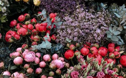 С�ͻ��ꄓ(chu��ng)�I(y��)Ӌ����