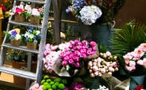 �����I����һЩ��(j��ng)��Ӗ(x��n)