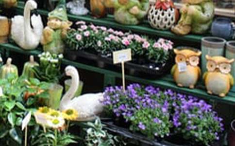 �W(w��ng)�ϻ����̘I(y��)Ӌ����