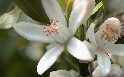 �����_��ӛ����̎�Ļ���