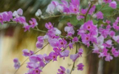 �_(k��i)��ӛ����̎�Ļ�������_��������