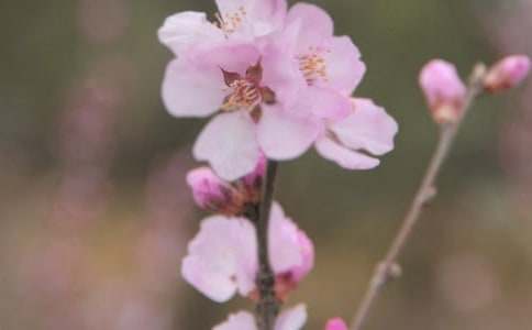 �_(k��i)��ӛ����̎�Ļ�������800�֣�ͨ��39ƪ��