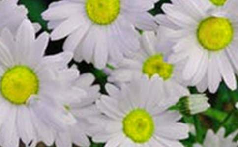 �_��ӛ����̎�Ļ������ģ����x104ƪ��