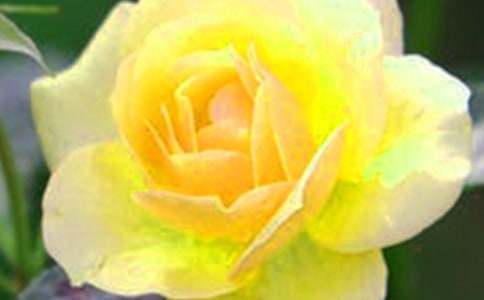 �_��ӛ����̎�Ļ���ӛ����700�֣����x54ƪ��