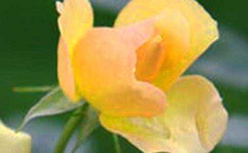 �_(k��i)��ӛ����Ļ������ģ����x32ƪ��