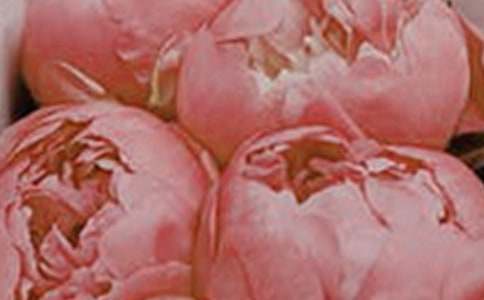 �茑����M�@����������~�Z(y��)