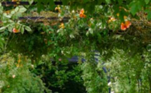 ���뻨�@����