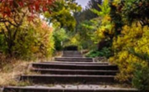 �Ҹ��ٻ��@���Ѓ�(y��u)������