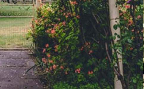 δ���Ļ��@����3ƪ