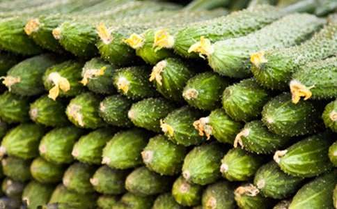 ���t���S���_(t��i)�o����Ԋ(sh��)ȫԊ(sh��)�p��