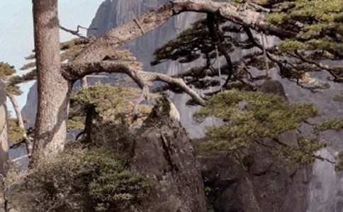 �P(gu��n)���茑�Sɽ�F�ă�(y��u)������