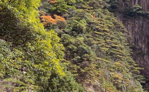 人教版小學(xué)二年級(jí)上冊《黃山奇石》教學(xué)設(shè)計(jì)(通用12篇)