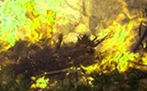 �h(yu��n)�x���(z��i)������������\��9ƪ