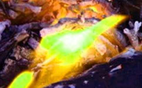 ���H�v��һ�λ��(z��i)����