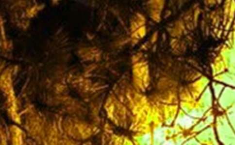 關(guān)于火災(zāi)的作文600字