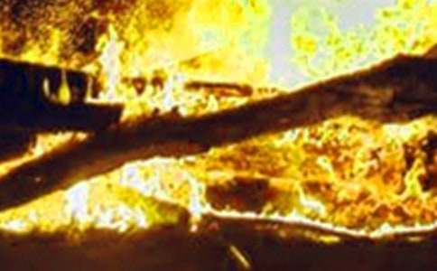 С�W(xu��)���������(z��i)���ع�������