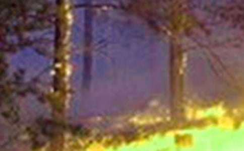 火災(zāi)作文600字四篇