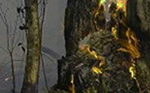 ���(z��i)����600��5ƪ