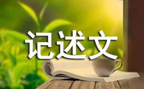 關于追求的記述文500字