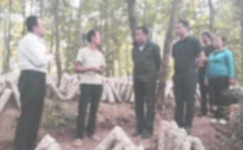 紀(jì)檢部個人總結(jié)