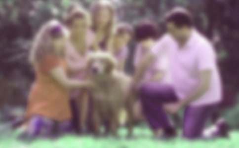 ��ͥ��������(���\15ƪ)