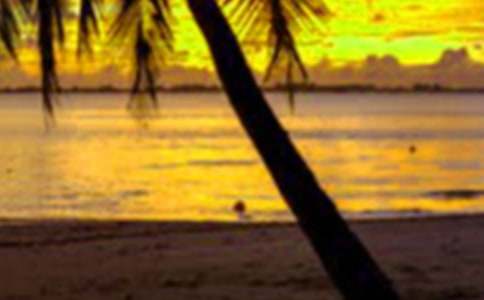 ���ڷ�˼200�����ģ�ͨ��11ƪ��