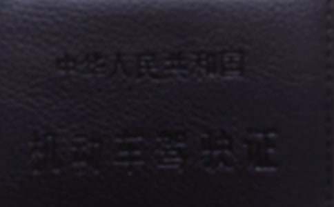 �{�տ�Ŀһ��ǰ�W(xu��)��(x��)���ɿ��Y(ji��)