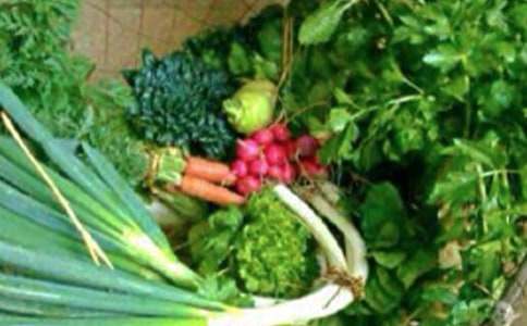 �����������ģ����x26ƪ��