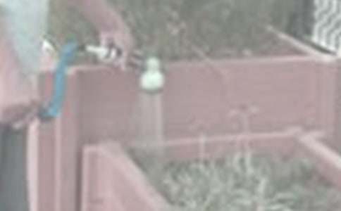 �������ĵ������ġ����T��