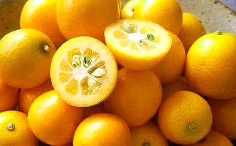 �������300�ֺϼ�10ƪ