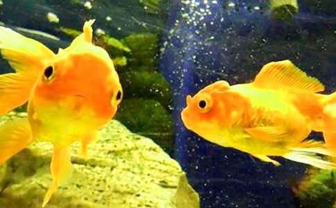 �B(y��ng)���~������300�֣����x38ƪ��