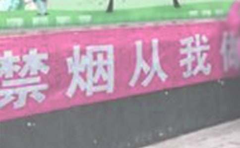 �����ĵ��w��15ƪ