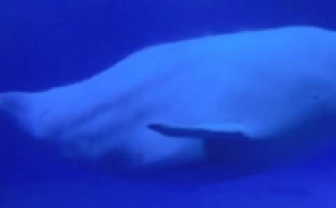 �L�~(y��)����300��8ƪ