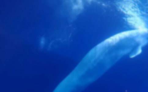 ����Ʒ���L�~����300����ƪ