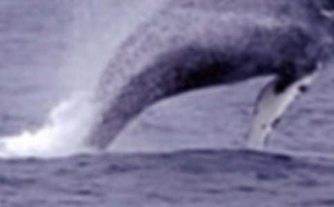 �����L�~(y��)����300��