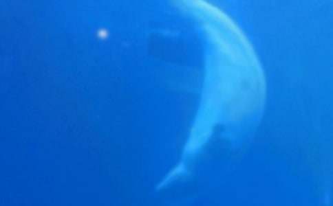 ���L�~�����ѵ�����