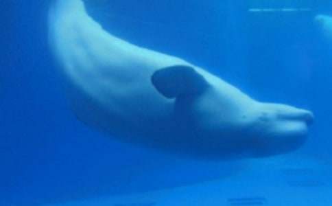 С�����c���L�~(y��)��ͯԒ����