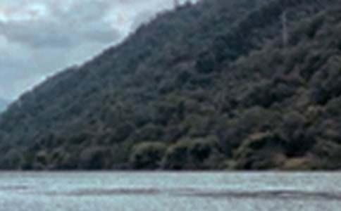 �茑�K�ݾ�ɫ�����ģ�ˮī���ϣ����x16ƪ��